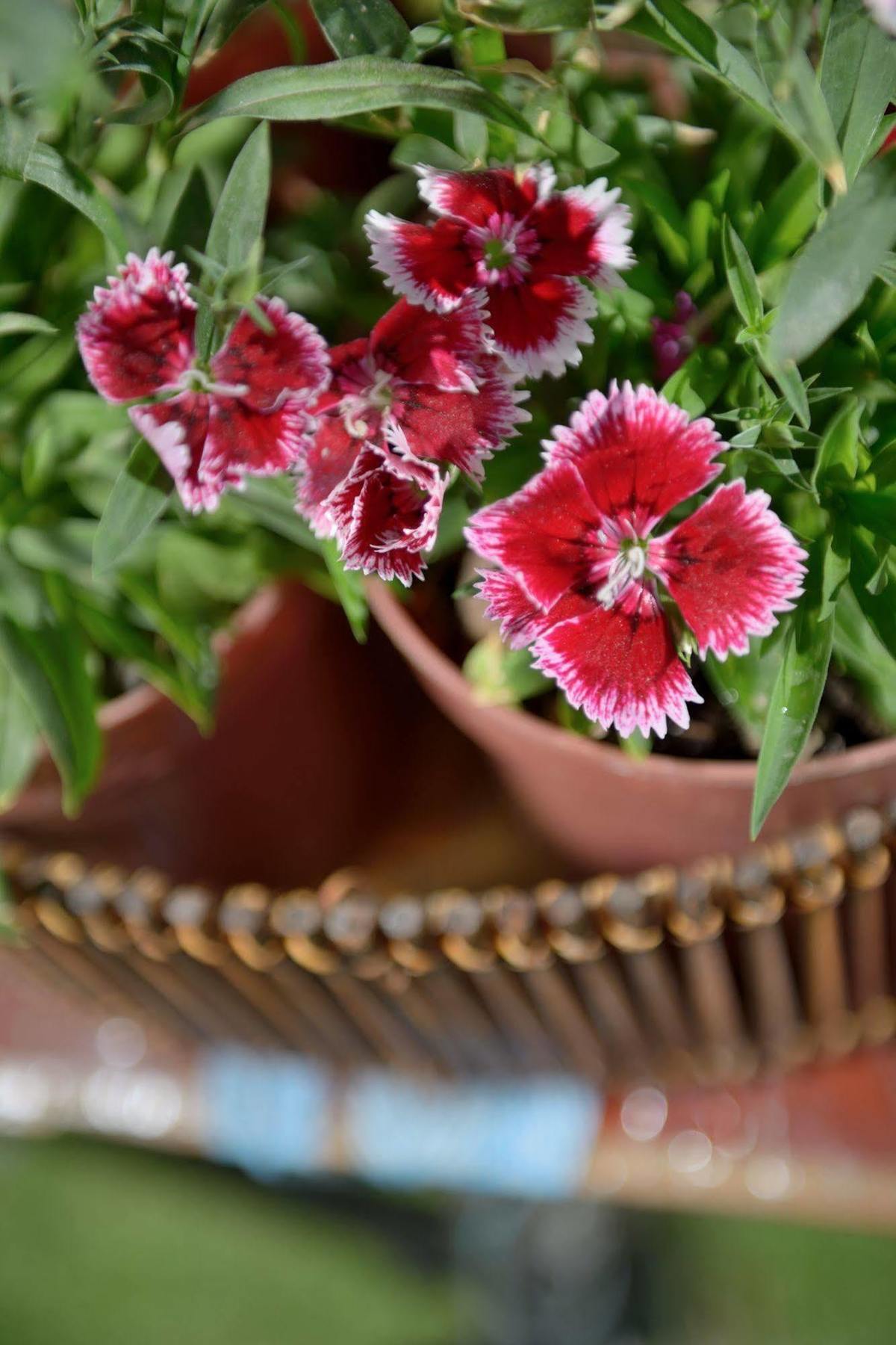 La Tua Casa Hotel Boutique Cochabamba Ngoại thất bức ảnh